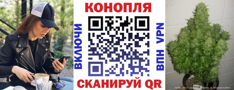 Бошки Шишки семена  наркошоп  Мирный 